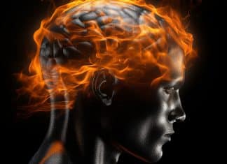 Behandlung von leichten neurokognitiven Störungen (NCD) - Alzheimer Science