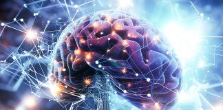 Hirnzellatlas - 3000 Zelltypen - Gehirn - BICCN - Alzheimer Science