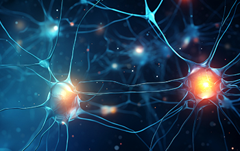 Neurogenese - Bildung neuer Neuronen im Gehirn - Alzheimer Science